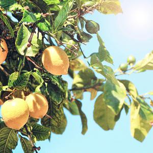 幸福生活儿媳妇跟老公公一级大片黄色的国产的
